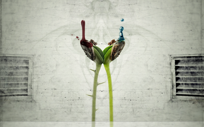 SEEDEVIL – ‘After Message (of Post Destruction)’ from their upcomin’ album ”Post Destruction” (AUDIO)