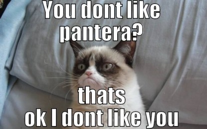 You don’t like Pantera?
