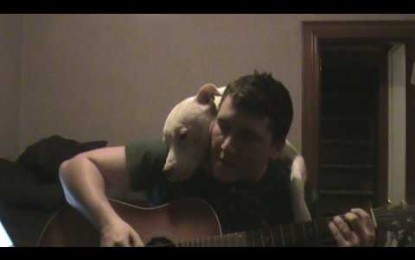 Γιατί πάντα θα είσαι ο αγαπημένος RockStar του σκύλου σου!