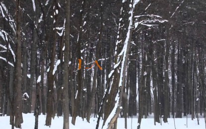 ALLEN / LANDE – Δείτε το νέο Lyric Video για το ‘Lady Of Winter’ από το νέο τους άλμπουμ ‘The Great Divide’