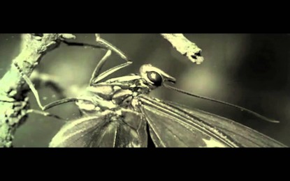 IN THIS MOMENT – Ακούστε το νέο τους single ‘Sick Like Me’