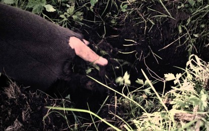 ENSLAVED – Δείτε το ΝΕΟ video του ‘Riitiir’