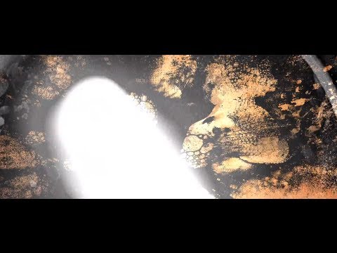 DARKEST HOUR – Δείτε το νέο lyric video του ‘Wasteland’