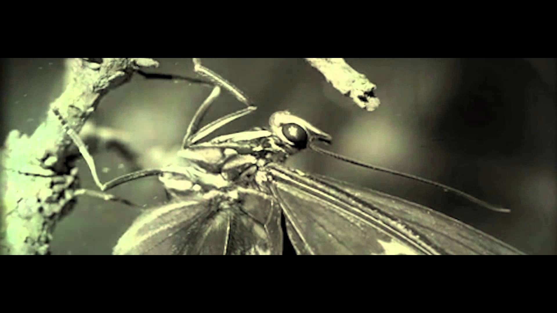 IN THIS MOMENT – Ακούστε το νέο τους single ‘Sick Like Me’